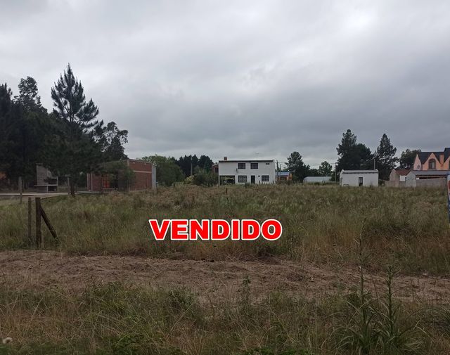 Terreno,Venta,1091