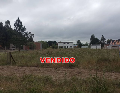 Terreno,Venta,1091