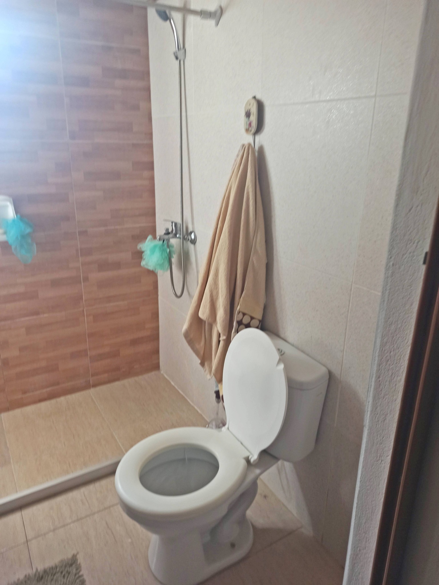 1 Habitación Habitaciones,1 BañoBathrooms,Apartamento,Venta,1100